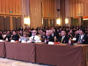 一文看懂,加拿大枫叶小熊幼儿园,他们是如何玩转,世界幼教的